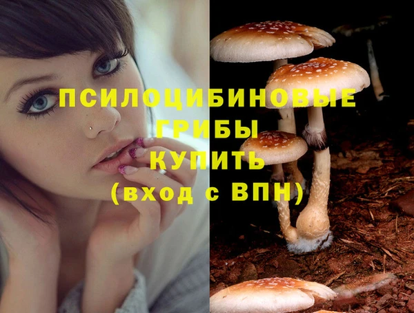 МДПВ Волосово